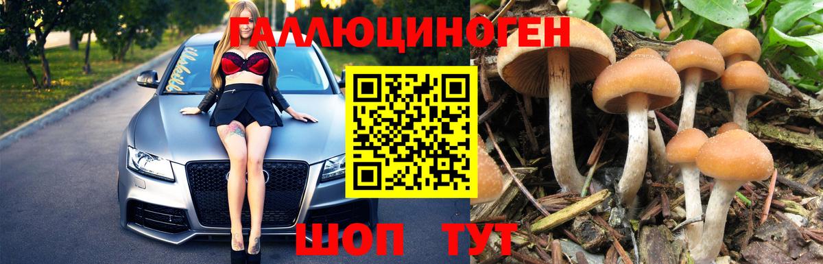 Энгельс  Псилоцибиновые грибы Psilocybe  Вход с VPN 