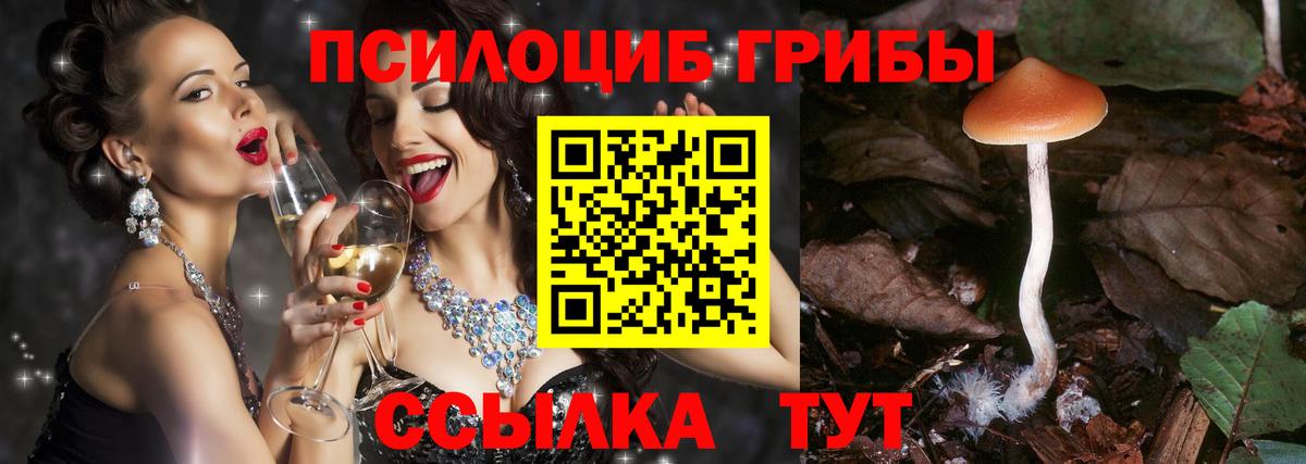 Галлюциногенные грибы мухоморы Энгельс